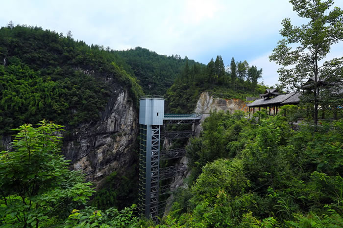 Cyan Loong Heavenly Ladder