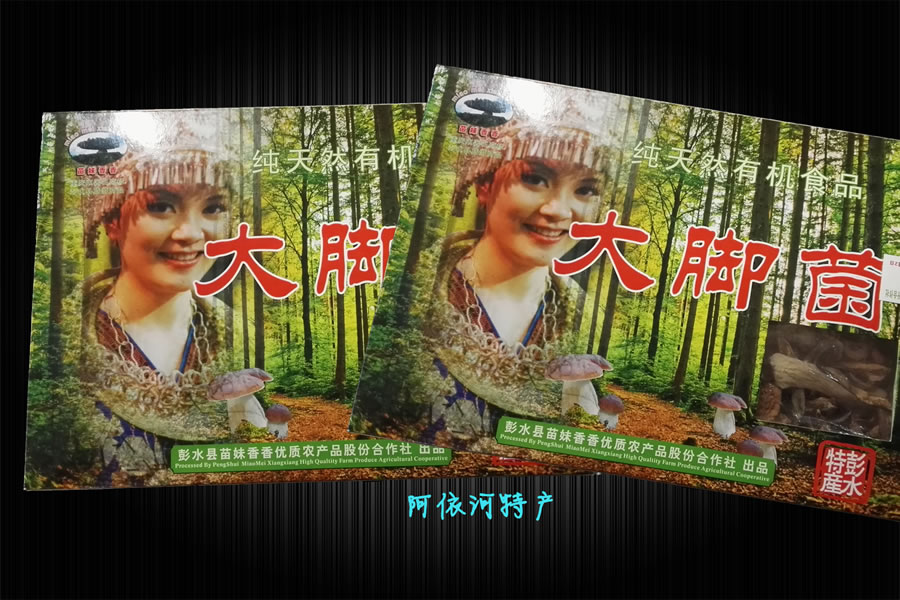大脚菌