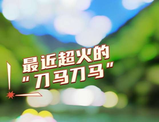 刷到《刀马刀马》就想出发？ 来阿依河，峡谷间的风带着草木香，漂流时的水花溅起快乐，自由又畅快！#保持热爱奔赴自由 #阿依河景区 #阿依河漂流 #旅行推荐官 #刀马刀马